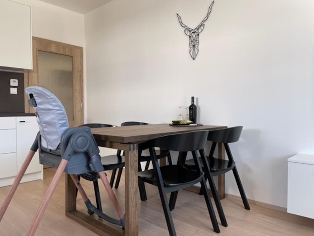 Klinovec Apartments Luxury Loučná pod Klínovcem Kültér fotó