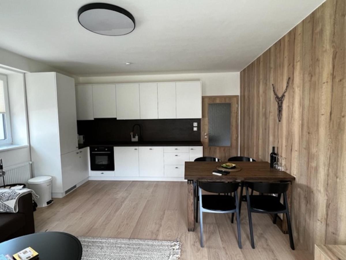 Klinovec Apartments Luxury Loučná pod Klínovcem Kültér fotó