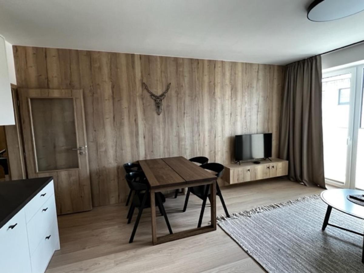 Klinovec Apartments Luxury Loučná pod Klínovcem Kültér fotó